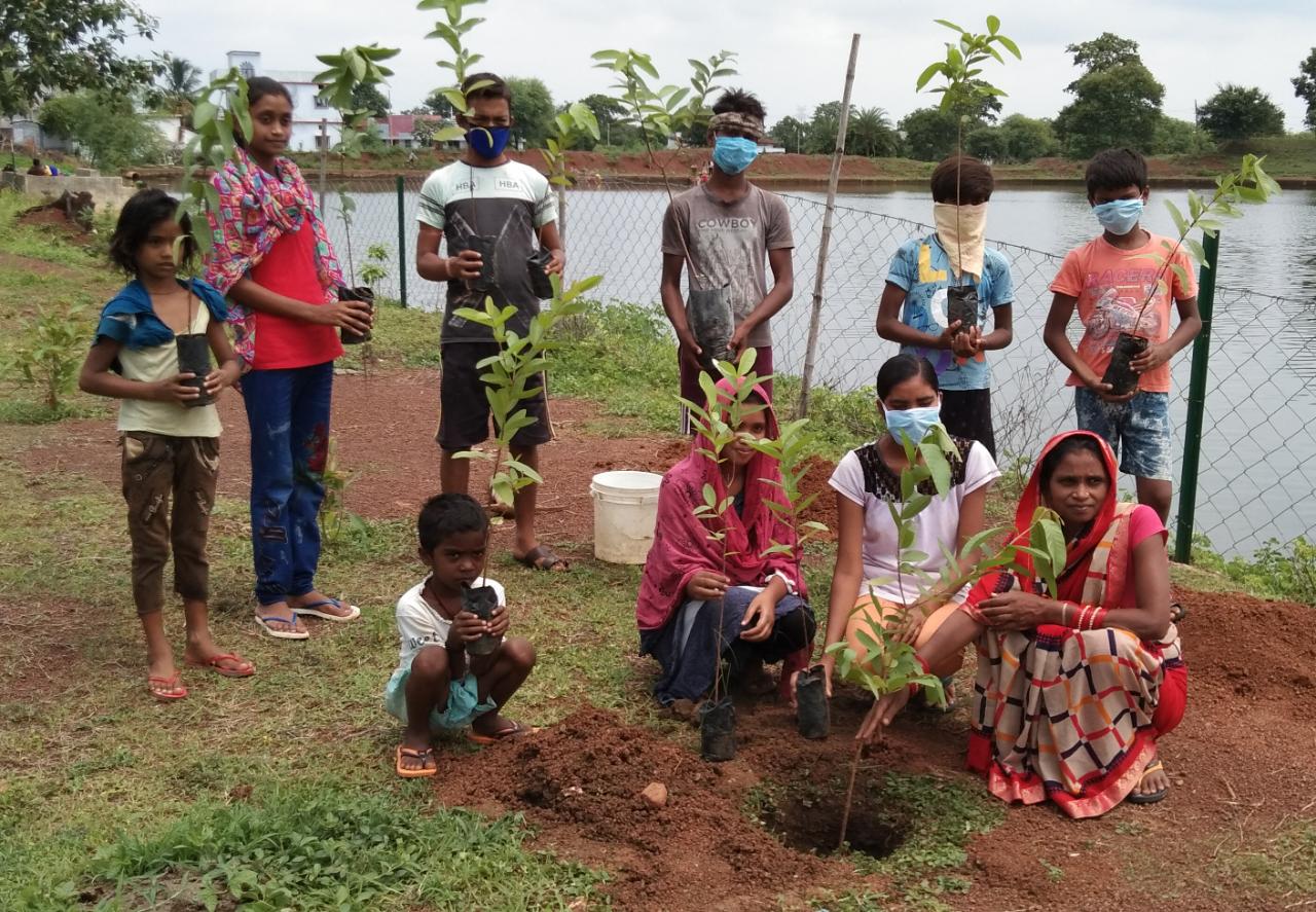 डुड़िया की बेटियां जन्मदिन पर उपहार में पौधा भेंट कर पर्यावरण संरक्षण का दे रही हैं संदेश | New India Times