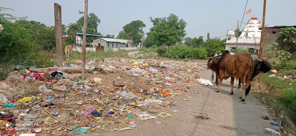 प्रधानमंत्री के स्वच्छता अभियान के सपनों की खुलेआम उड़ाई जा रही है धज्जियां, धार्मिक स्थल के पास गंदगी का साम्राज्य, जिम्मेदार नहीं दे रहे हैं ध्यान | New India Times