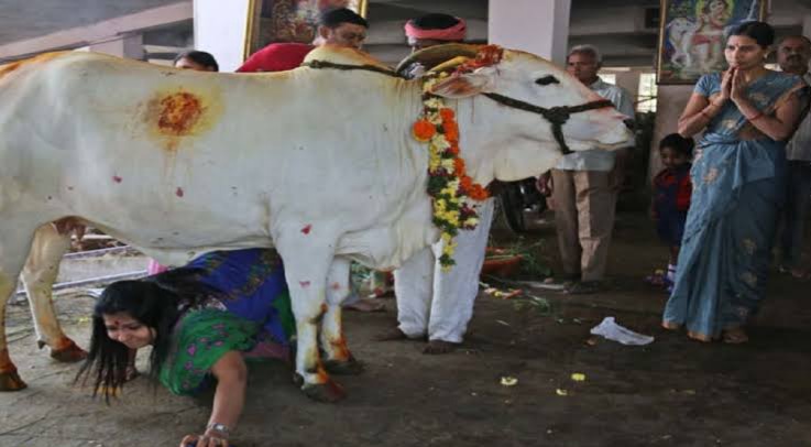 गोपाष्टमी पर गौ माता की भक्ति में डूबी छोटी काशी | New India Times