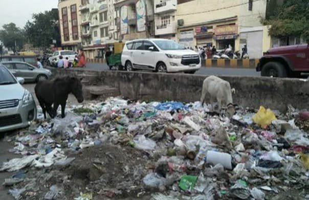 ग्वालियर में सफाई व्यवस्था चरमराई ताे कलेक्टर खुद सड़काें पर निकले, निगम अफसराें काे दिए निर्देश | New India Times