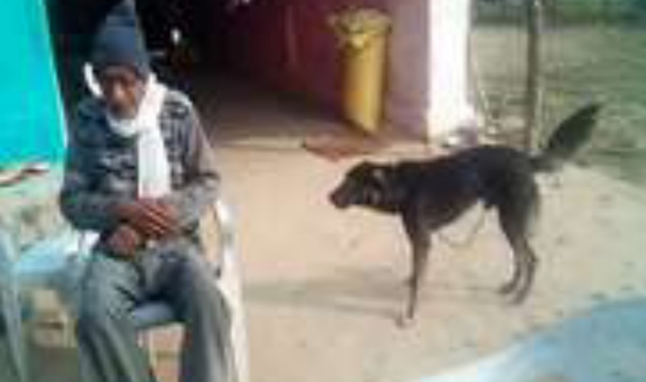क‍िसान ने आधी जायदाद की कुत्ते के नाम | New India Times
