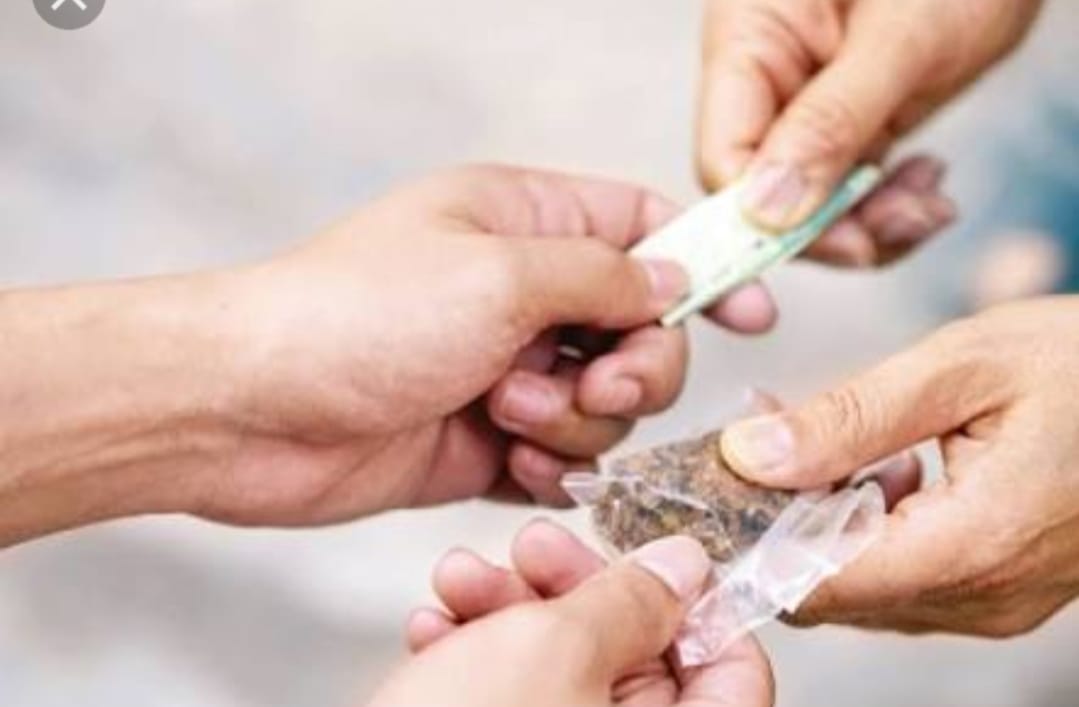 जिम्मेदार अधिकारियों की मिलीभगत से नशे के कारोबारी कर रहे है युवाओं की जिंदगी से खिलवाड़ | New India Times