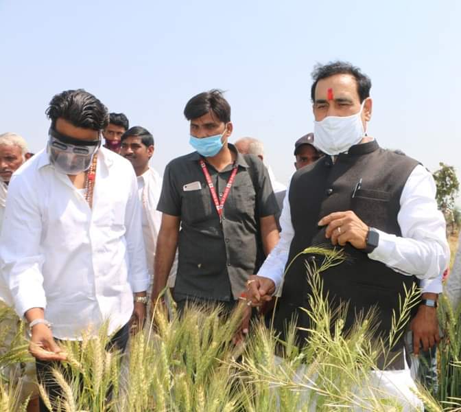 गृह मंत्री डाॅ. मिश्र ने बड़ौनी तहसील में खेतों पर जाकर ओलावृष्टि से प्रभावित फसलों का लिया जायजा | New India Times