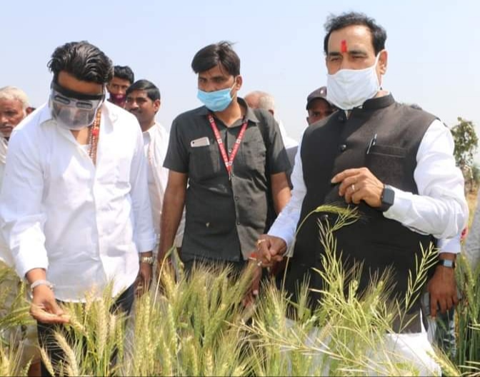 गृह मंत्री डाॅ. मिश्र ने बड़ौनी तहसील में खेतों पर जाकर ओलावृष्टि से प्रभावित फसलों का लिया जायजा | New India Times
