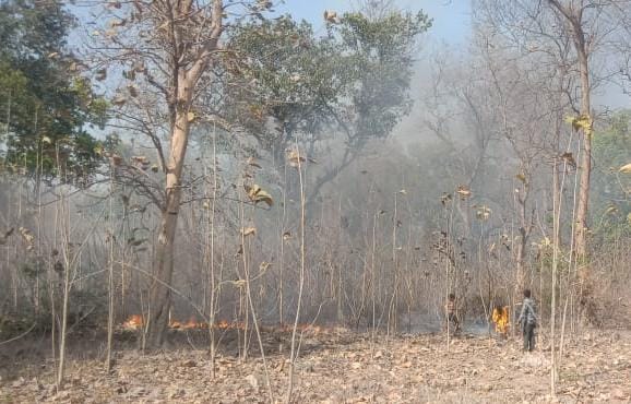 साहबगंज जंगल में लगी आग से किसानों को हुई घबराहट, 2 घंटे तक कोई प्रशासन के अधिकारी ने नहीं दिया ध्यान | New India Times