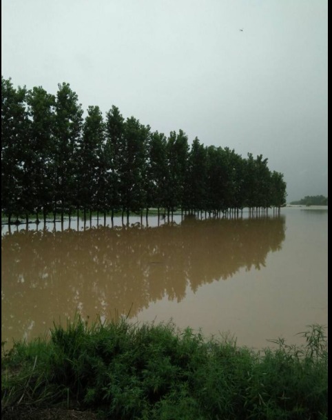 भिनगा विधायक ने किया बाढ़ ग्रस्त क्षेत्र का दौरा जाना ग्रामीणों का हाल | New India Times