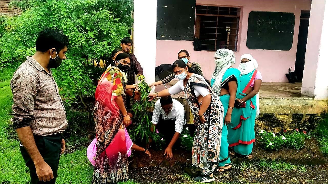 लोनवाड़ी के जिला परिषद विद्यालय में किया गया वृक्षारोपण  | New India Times
