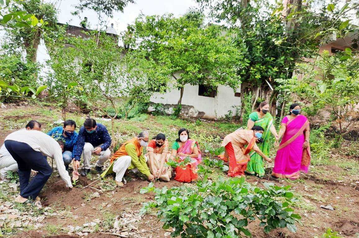 तीन सामाजिक संस्थाओं के तत्वधान में श्रीराम झरोखा मंदिर धाम परिसर में संपन्न हुआ पौधारोपण | New India Times