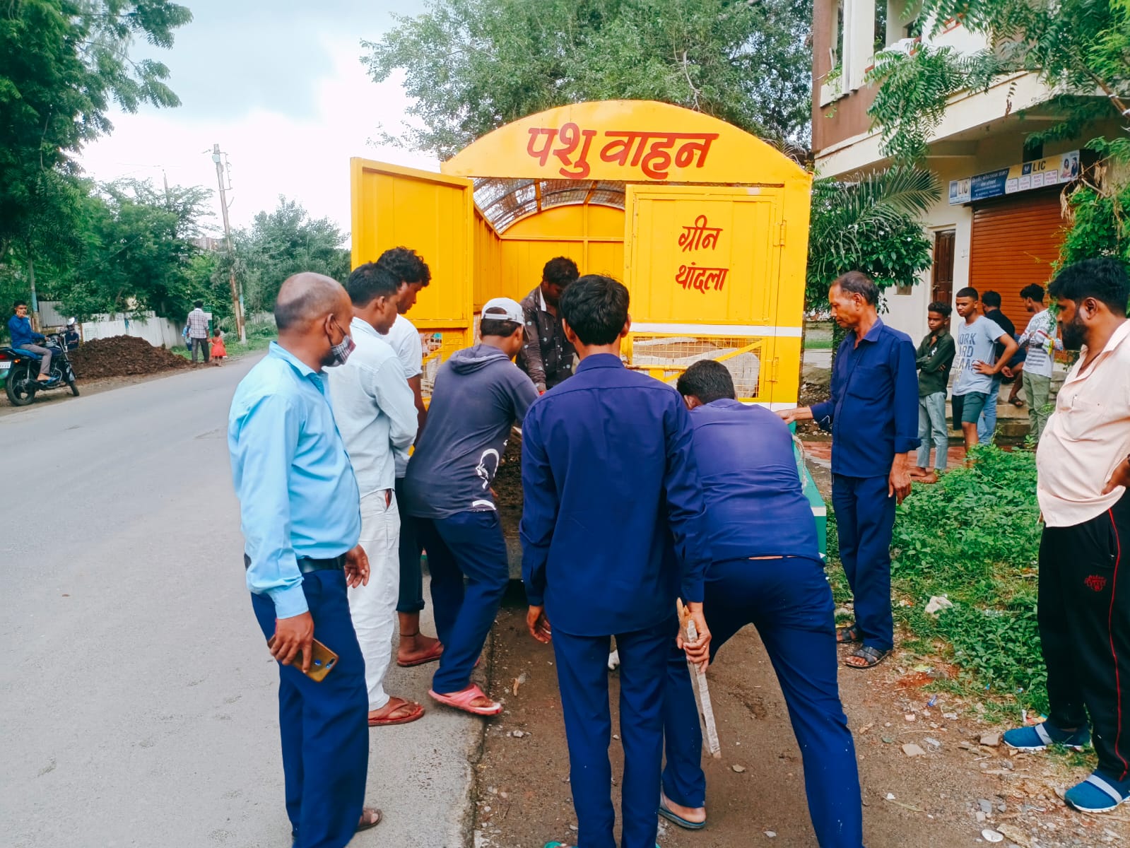 नगर परिषद ने चलाई आवारा पशुओं को पकड़ने की मुहिम, पशु मालिकों को इसकी भनक लगी तो अपने पशुओं को पकड़ कर ले जाने लगे घर | New India Times