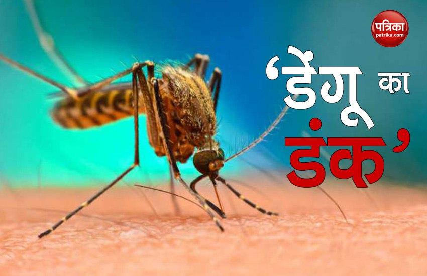 जिले में बढ़ रहे हैं डेंगू के केस, युवा पत्रकार के इकलौते बेट की डेंगू से मौत | New India Times