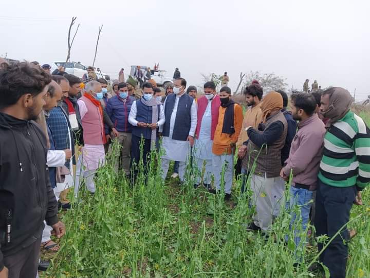 ओलावृष्टि से 74 गांवों में 9800 हेक्टेयर रकबे में हुए किसानों के नुकसान की हालत देखने पहुंचे प्रभारी मंत्री तुलसी सिलावट | New India Times