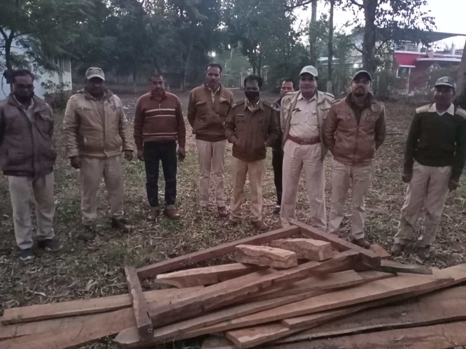 वन विभाग की कार्रवाई अवैध लकड़ी बरामद, कार्रवाई से मचा हड़कंप | New India Times