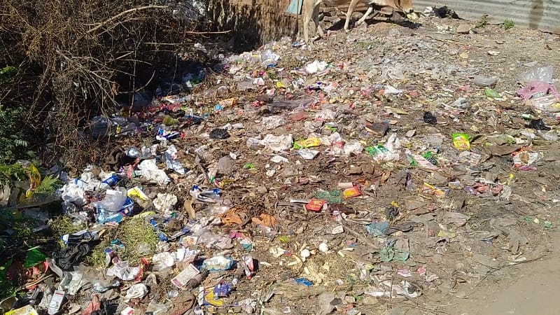 सफाई के दौर में कचरे का अंबार, मानो ग्राम पंचायत में स्वच्छता अभियान आया ही ना हो... | New India Times