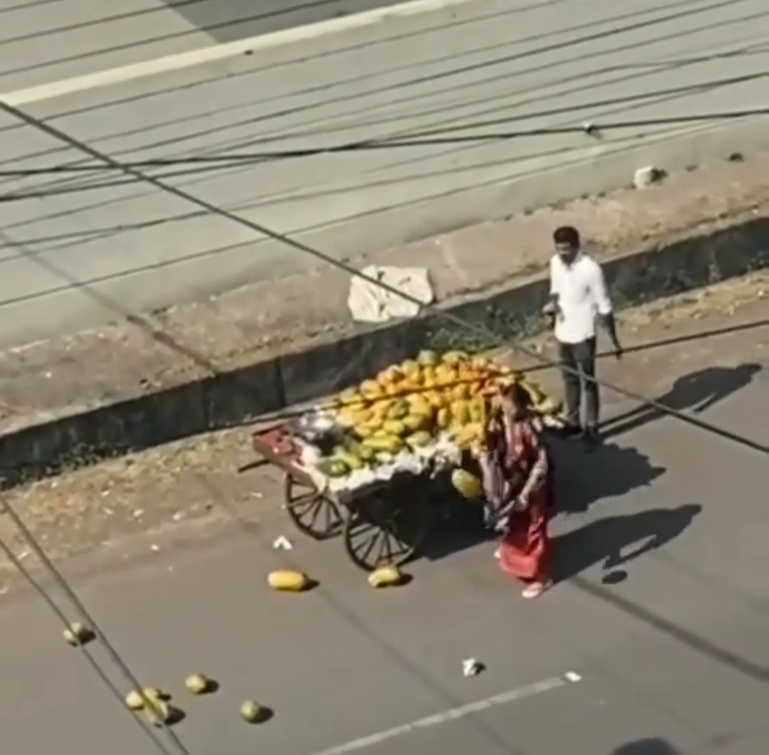 कार से ठेला टकराने से आक्रोशित महिला का ठेले से फल फेंकने का वीडियो हुआ वायरल | New India Times