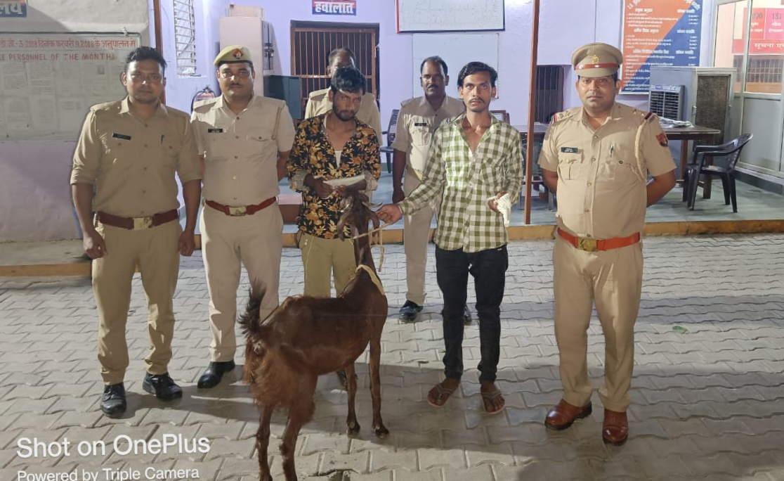 चोरी की बकरी एवं ई रिक्शा बरामद, दो आरोपी गिरफ्तार, एक फरार | New India Times