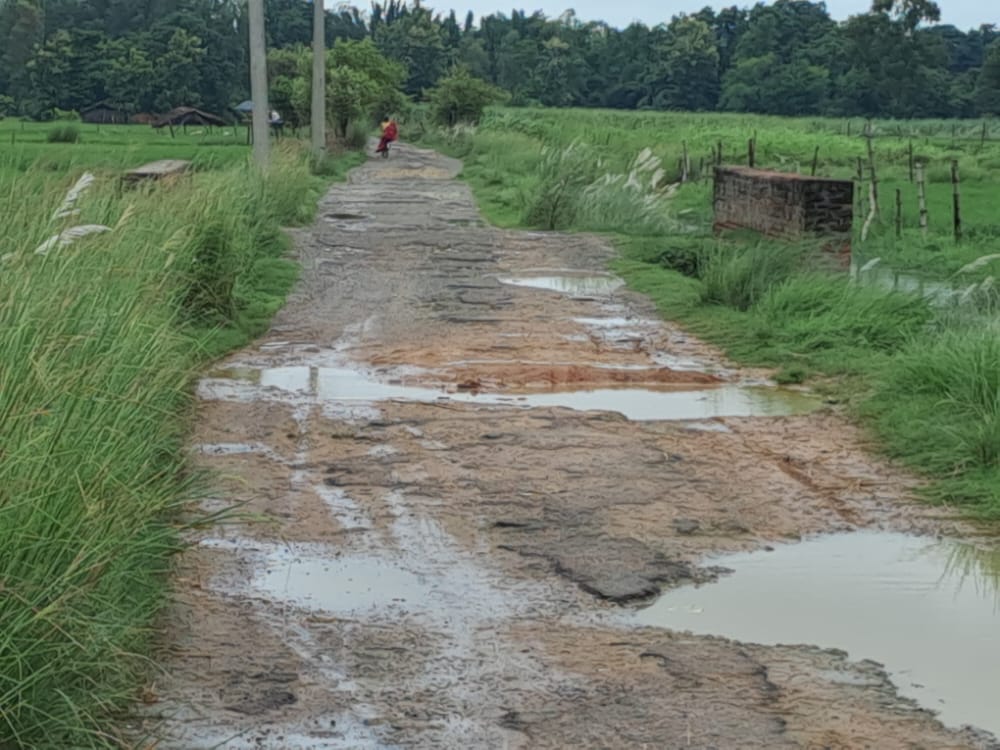 सड़क पर बने जानलेवा गड्ढे, जिम्मेदार नहीं दे रहे हैं ध्यान | New India Times