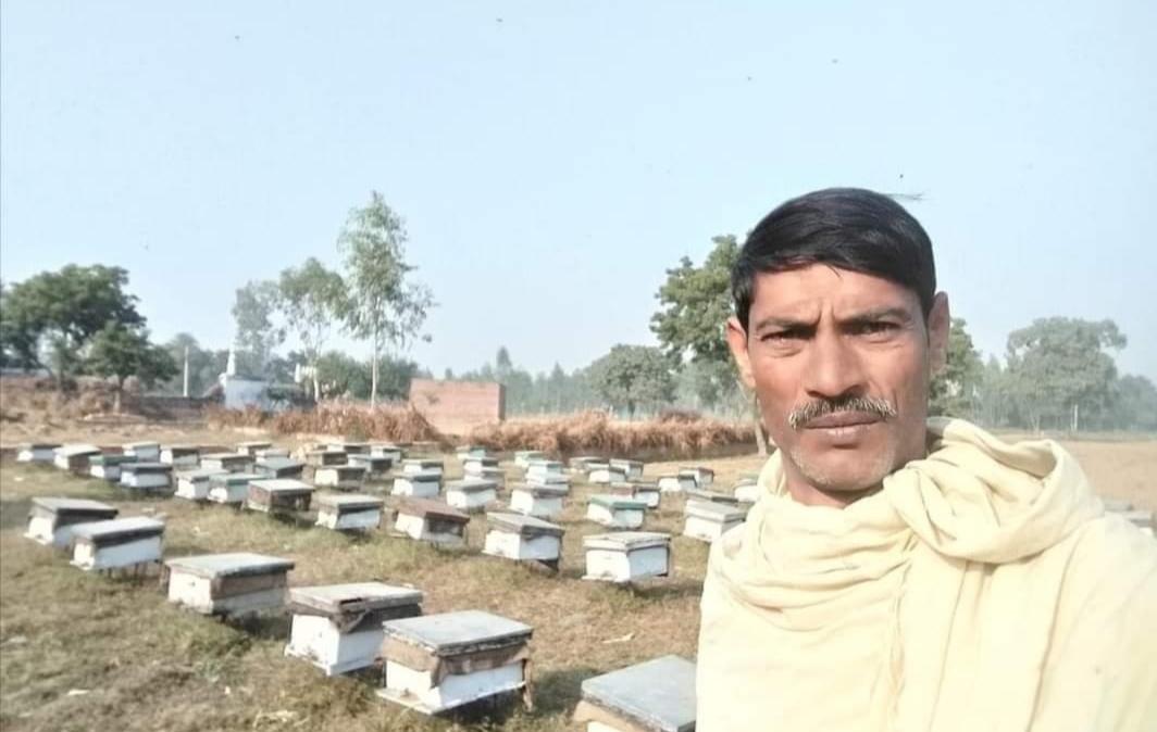 80 फीसद मधु पालन करने वालों की मधुमक्खियां बारिश की वजह से हो गईं तबाह, सरकार कर रही है मधु पालक किसानाें की अनदेखी: नासिर खान | New India Times