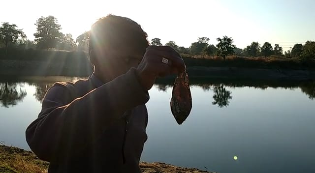 निस्तार तालाब का पानी दिन-ब-दिन हो रहा है कम, मर रही हैं मछलियां | New India Times