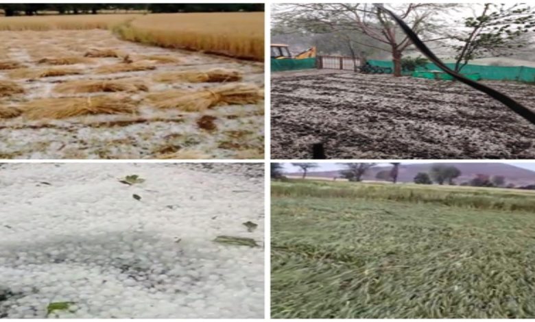 तेज बारिश आंधी तूफान से फसलों को हुआ भारी नुकसान, परेशान किसानों ने लगाई मुआवजे की गुहार | New India Times