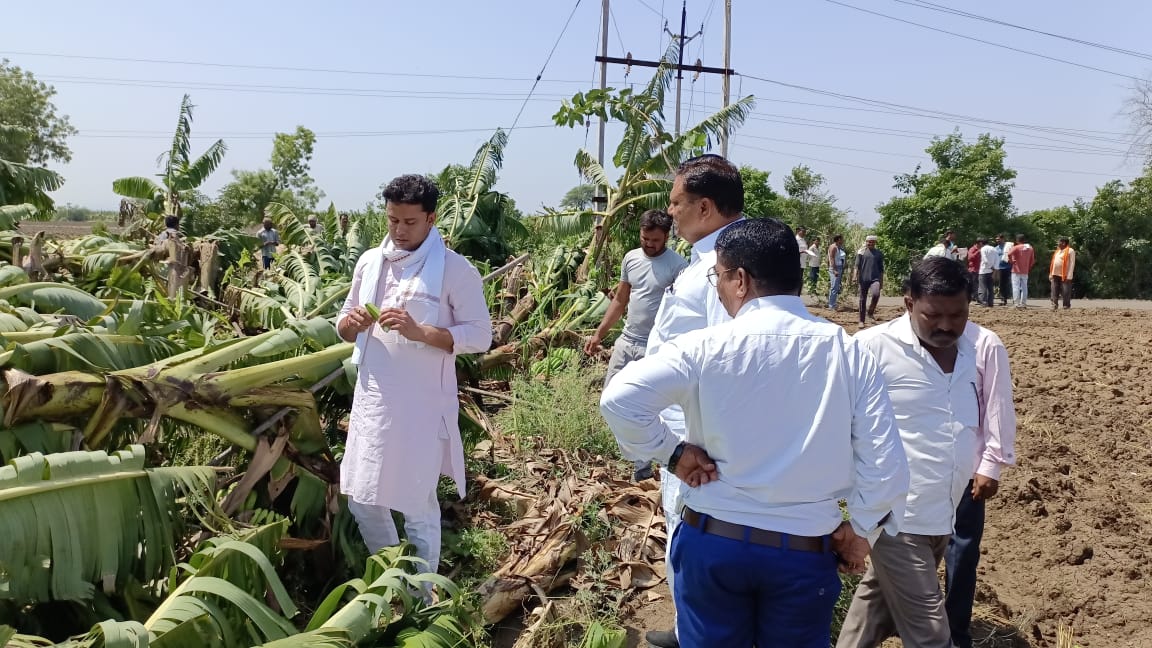 स्वर्गीय सांसद के पुत्र एवं भाजपा नेता हर्षवर्धनसिंह चौहान ने केला फसल की नुकसानी का आकलन कर की मुआवजा देने की मांग | New India Times