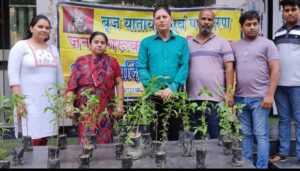 ब्रज यातायात एवं पर्यावरण जन जागरूकता समिति ने विश्व पर्यावरण दिवस पर निःशुल्क बांटे पौधे | New India Times