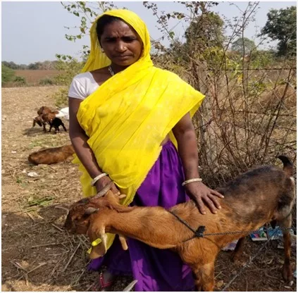 मध्य प्रदेश शासन की बकरी पालन योजना से दिमा के जीवन में आया बदलाव | New India Times