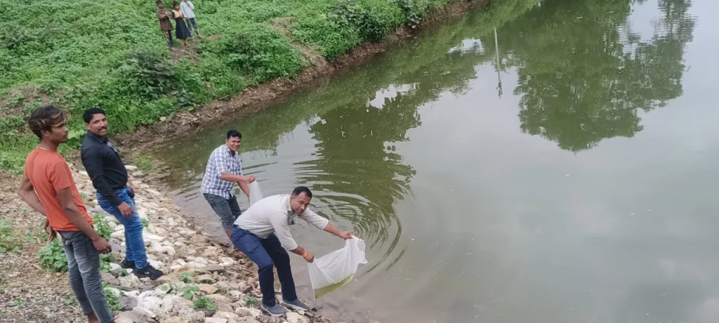 महात्मा गांधी नरेगा योजना के अंतर्गत निर्मित तालाब पिपली पाड़ा में ज़िला स्तर के अधिकारियों ने डाले मत्स्य बीज | New India Times