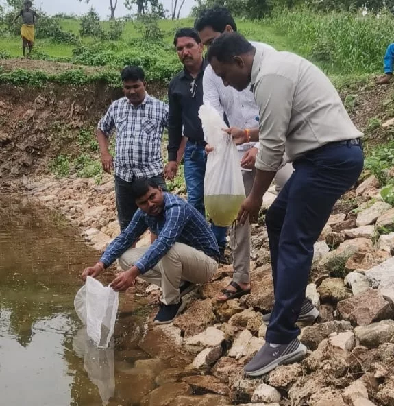 महात्मा गांधी नरेगा योजना के अंतर्गत निर्मित तालाब पिपली पाड़ा में ज़िला स्तर के अधिकारियों ने डाले मत्स्य बीज | New India Times