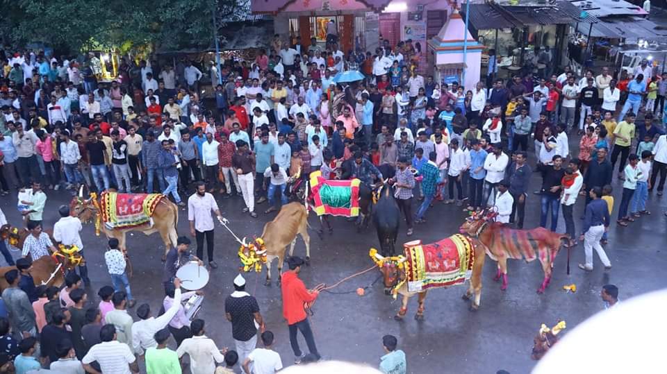 ज़िले के प्रमुख जनप्रतिनिधिगण ने धार्मिक विधि विधान से बैल पूजा कर मनाया बैल पोला | New India Times