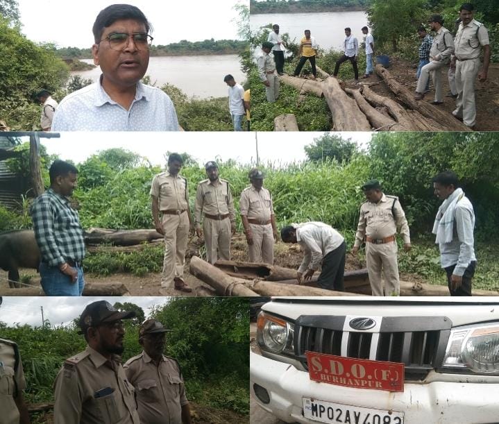 एसडीओ फोरेस्ट के नेतृत्व में वन विभाग की टीम ने ताप्ती नदी बारादरी से लकड़ी का ज़खीरा किया जप्त | New India Times