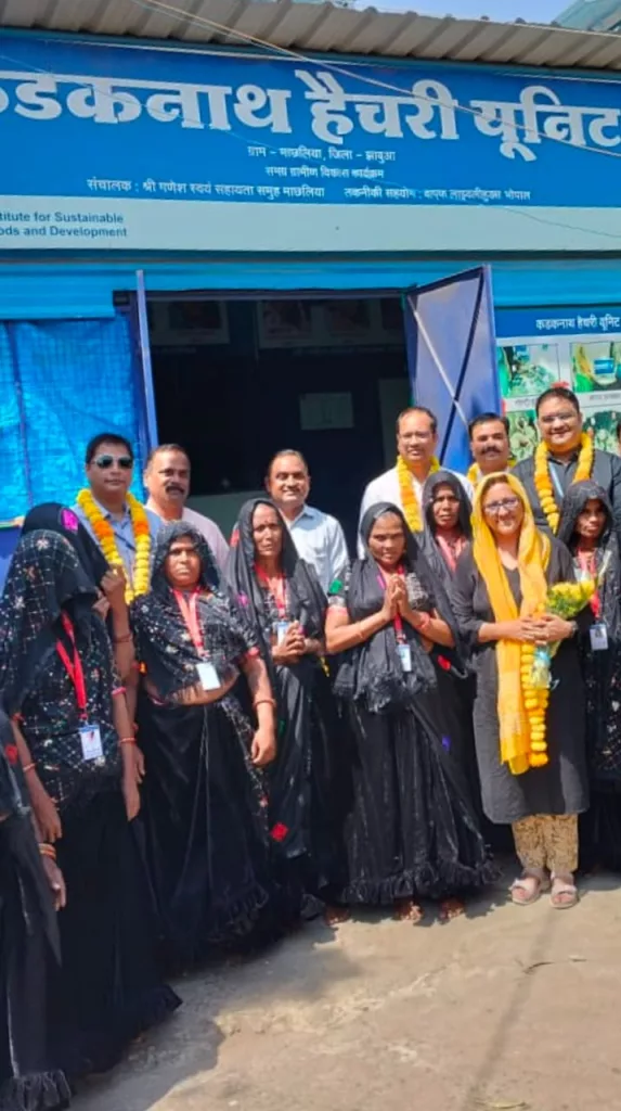 झाबुआ का प्रसिद्ध कड़कनाथ बना स्थायी आजीविका का आधार 3 झाबुआ का प्रसिद्ध कड़कनाथ बना स्थायी आजीविका का आधार | New India Times