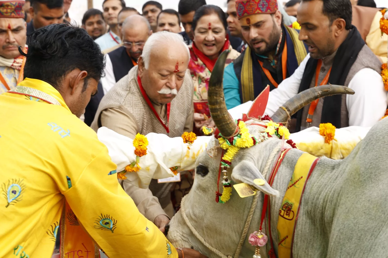 वैदिक मंत्रोच्चार के बीच सम्पन्न हुआ दीनदयाल गौ विज्ञान अनुसंधान एवं प्रशिक्षण केंद्र का लोकार्पण | New India Times