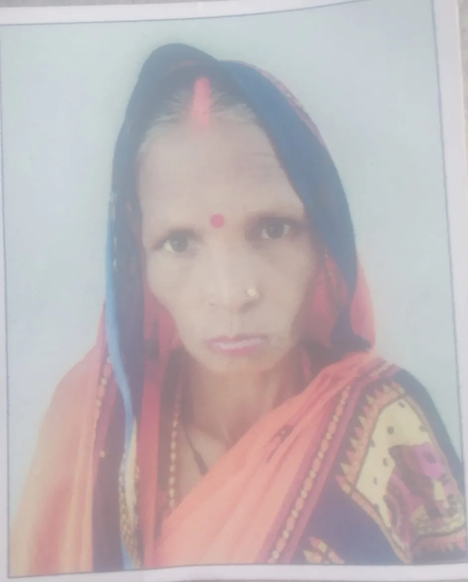 आवारा सांड के हमले में महिला की दर्दनाक मौत | New India Times