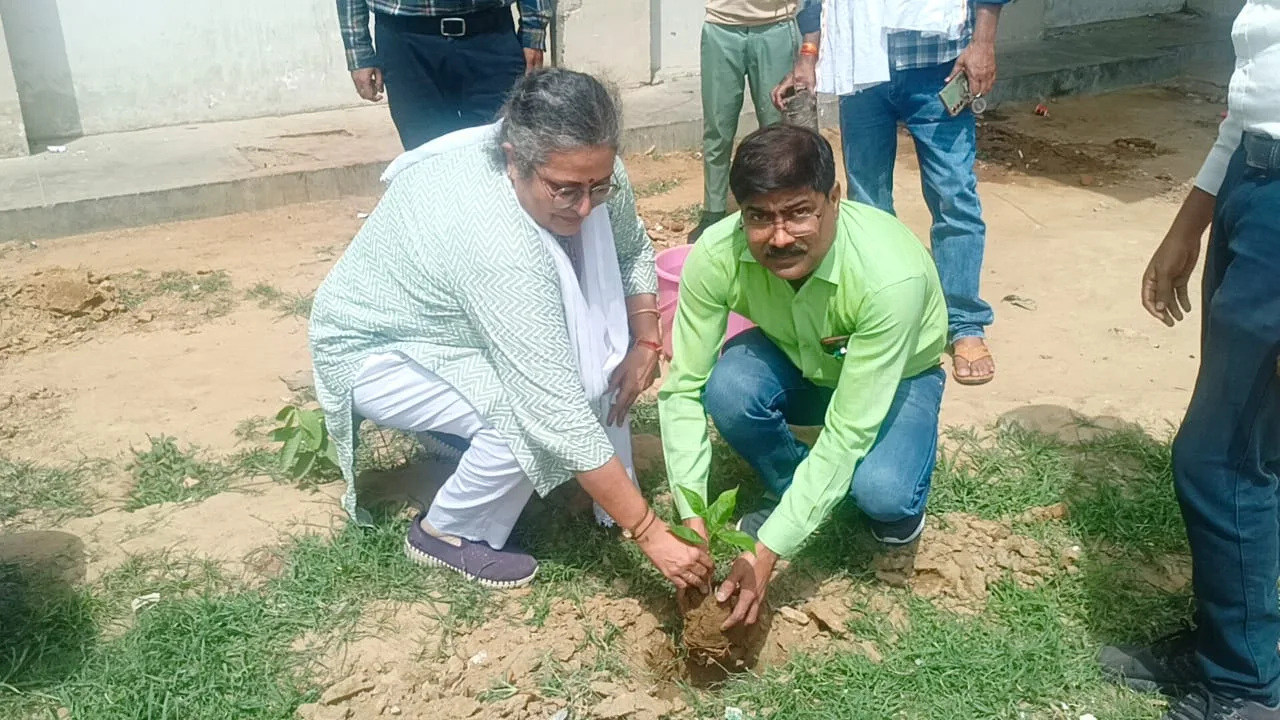 विश्व पर्यावरण दिवस के अवसर पर जिला चिकित्सालय में किया गया संयुक्त रूप से पौधारोपण | New India Times