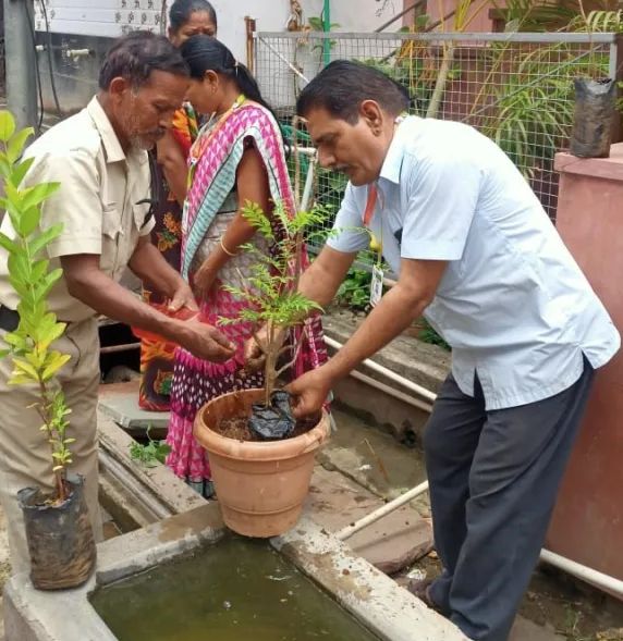 अंतरराष्ट्रीय सहकारिता दिवस पर पौधारोपण कार्यक्रम संपन्न, शाखा की कैशियर सुश्री ज्योति शर्मा द्वारा पौधारोपण की दिलाई गई शपथ | New India Times