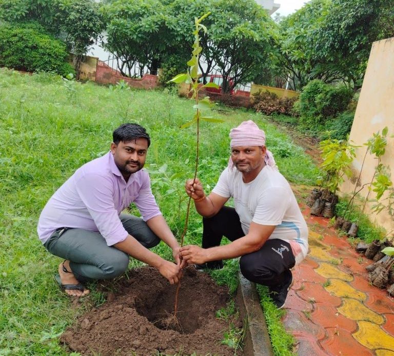 एक पेड़ मां के नाम अभियान अंतर्गत नगर निगम द्वारा रविवार को अलग-अलग कॉलोनी में लगाए गए 310 पौधे: आयुक्त | New India Times