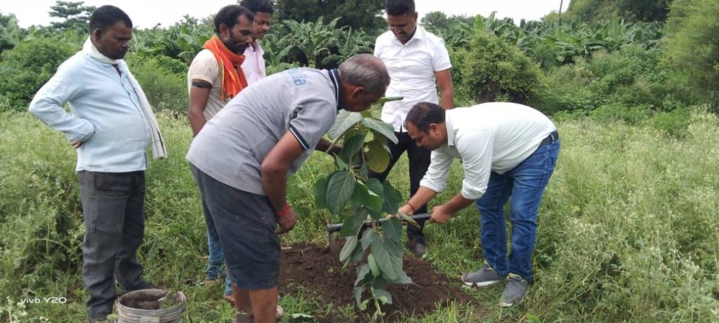 भाजपा विधि प्रकोष्ठ बुरहानपुर के जिला सहसंयोजक ने ग्राम पंचायत सिंधखेड़ा कलां में किया पौधारोपण | New India Times