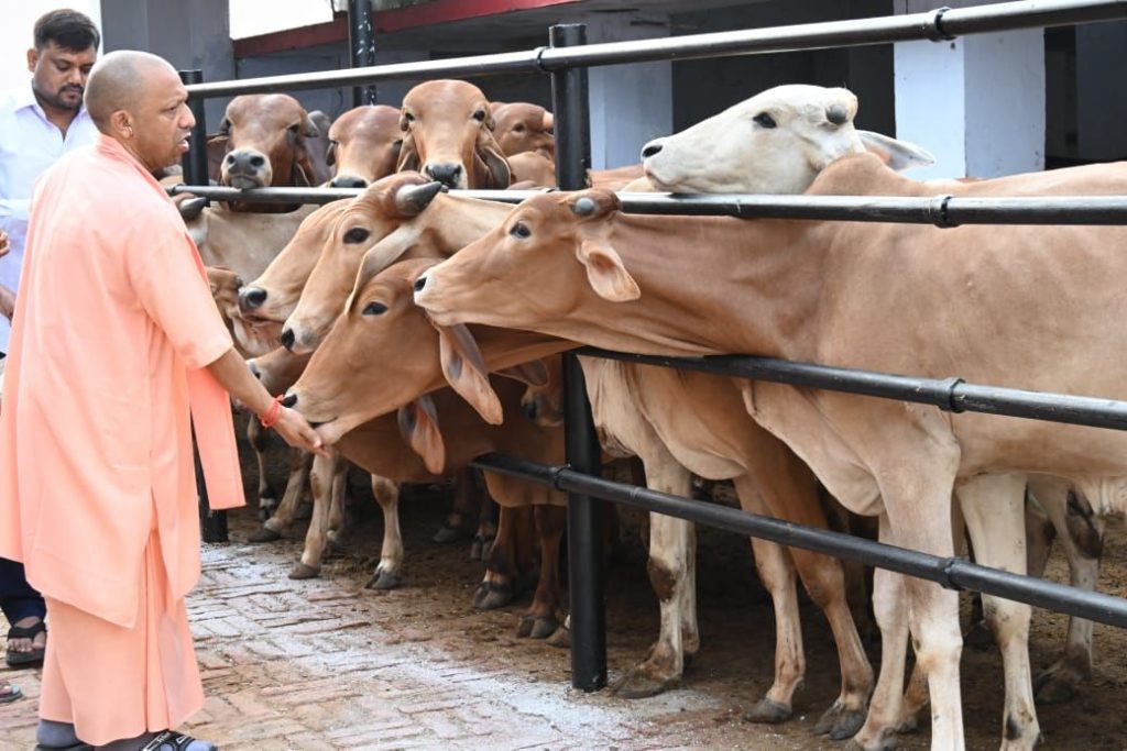 मंदिर की गोशाला में सीएम योगी ने की गोसेवा, बच्चों पर लुटाया प्यार | New India Times