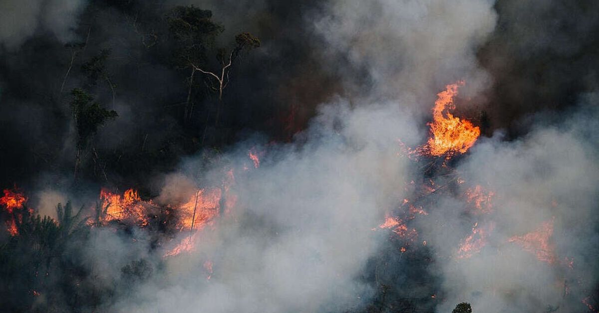 Recordes alarmantes: Queimadas na Amazônia sobem 286% em fevereiro