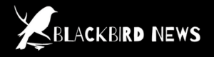 News Blackbird