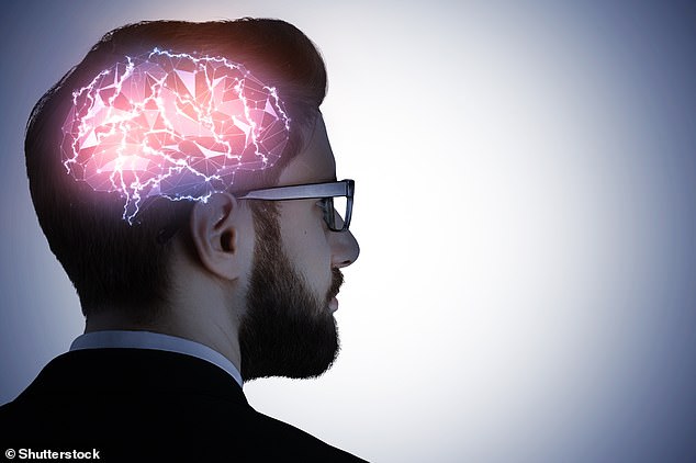 Revealed: The brain can immediately both identify objects without the need for clear-cut boundaries or other specialised cues, and predict unknown properties of new objects (stock)