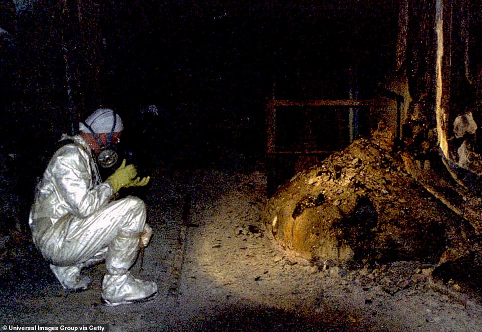 mutations radiation chernobyl aftermath mutations radiation chernobyl aftermath