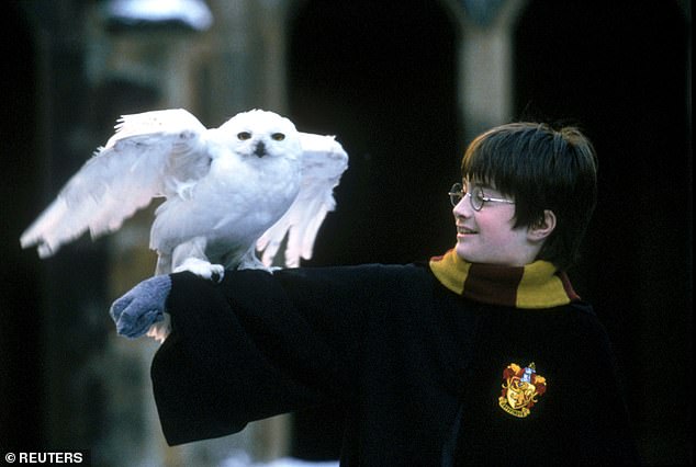 Allegations have been made linking the Harry Potter movie series (pictured) to spikes in demand for certain species, but experts have found no evidence for this
