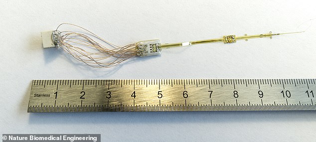 The technology delivered an electric current directly to the optic nerve of rabbits via an electrode called OpticSELINE (pictured). The device measures at around 11cm (4.3inches)