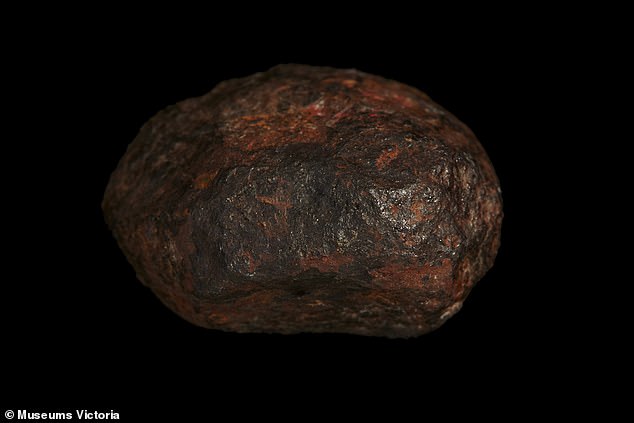Planetary scientist Geoffrey Bonning of the Australian National University in Canberra, who was not involved in the present study, told the Age that he believes the Wedderburn meteorite was once part of an ancient planet