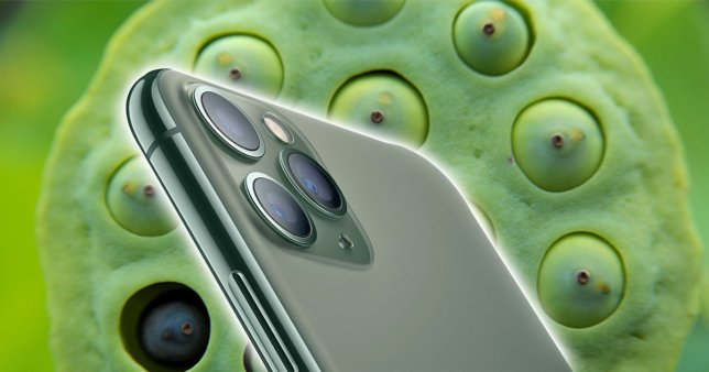 The Apple Iphone 11 Pro Is Triggering People Who Suffer From A Fear Of