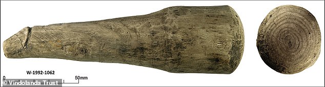 'The size of the phallus and the fact that it was carved from wood raises a number of questions to its use,' Dr Collins said