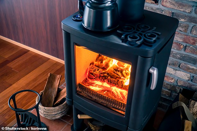 Trendy wood burning stoves are the UK's biggest source of the most dangerous type of air pollution called PM2.5, new research shows (stock image)