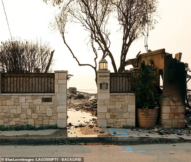 A few scattered trees can be seen standing, but are barren and black after being charred by the flames