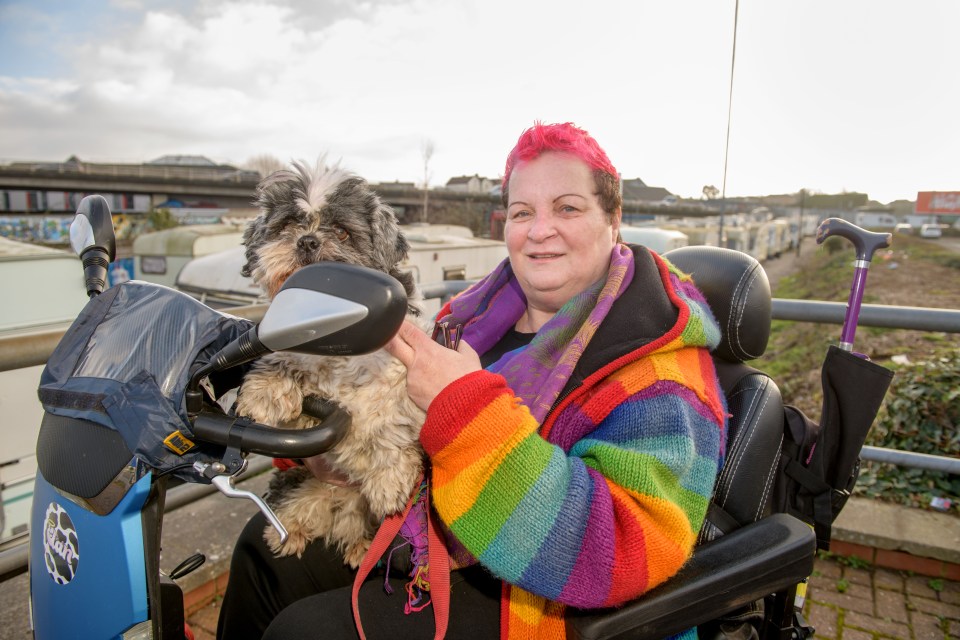 Woman with pink hair in a rainbow sweater sits in a wheelchair with her dog.